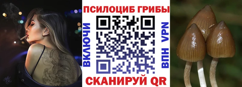 Псилоцибиновые грибы прущие грибы  магазин  наркотиков  kraken ссылки  Лиски 