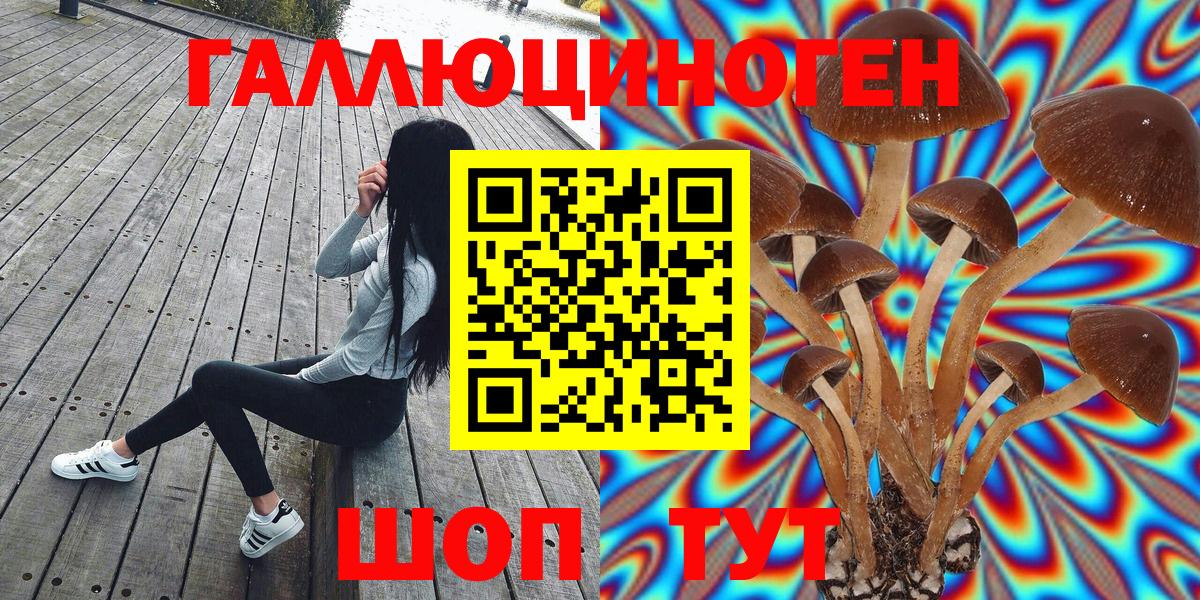Галлюциногенные грибы Cubensis  Вход с VPN  Лиски  Галлюциногенные грибы мицелий 